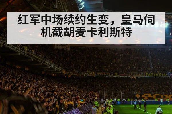 红军中场续约生变，皇马伺机截胡麦卡利斯特